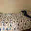 Photos des clients 1 de 1