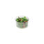 Chef'n Plastic Salad Spinner-38515944