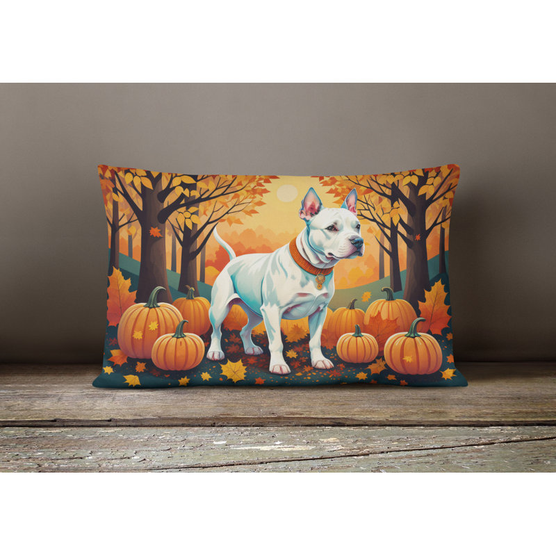 Other/No Pattern Outdoor Throw Pillow