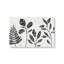 Toile tendue Botanicals noir et blanc-324780174