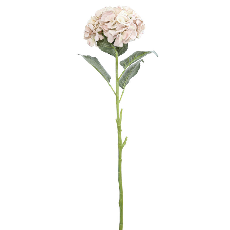 Arrangement