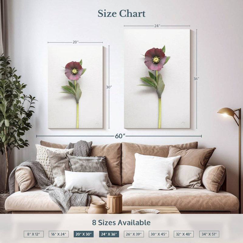 Harnek Hellebore Study II, H 36 po x l 24 po