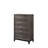 1pc Contemporary 5-Drawer Tall Chest-1497599271