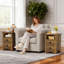 NightStand, ensemble de 2 avec 2 tiroirs et tablette de rangement ouverte, table de chevet de ferme pour salon de chambre à coucher-1020683272