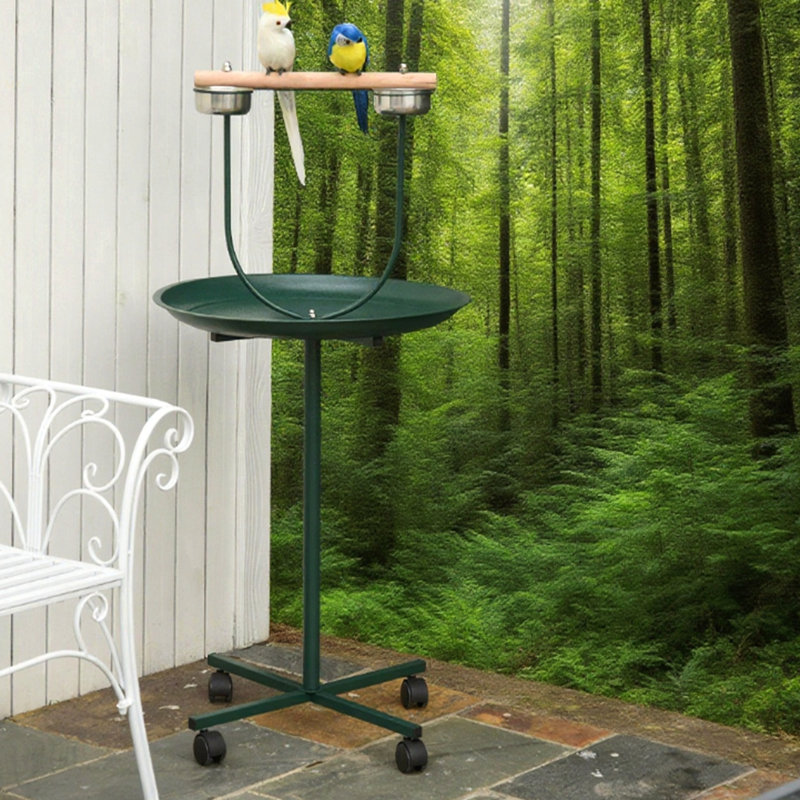 Aire de jeu pour oiseaux