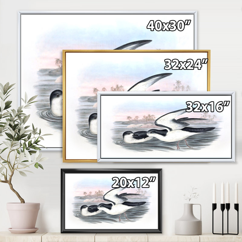 «Vintage Australian Birds X», impression sur toile, H 16 po x l 32 po x p 1 po, Encadrement doré