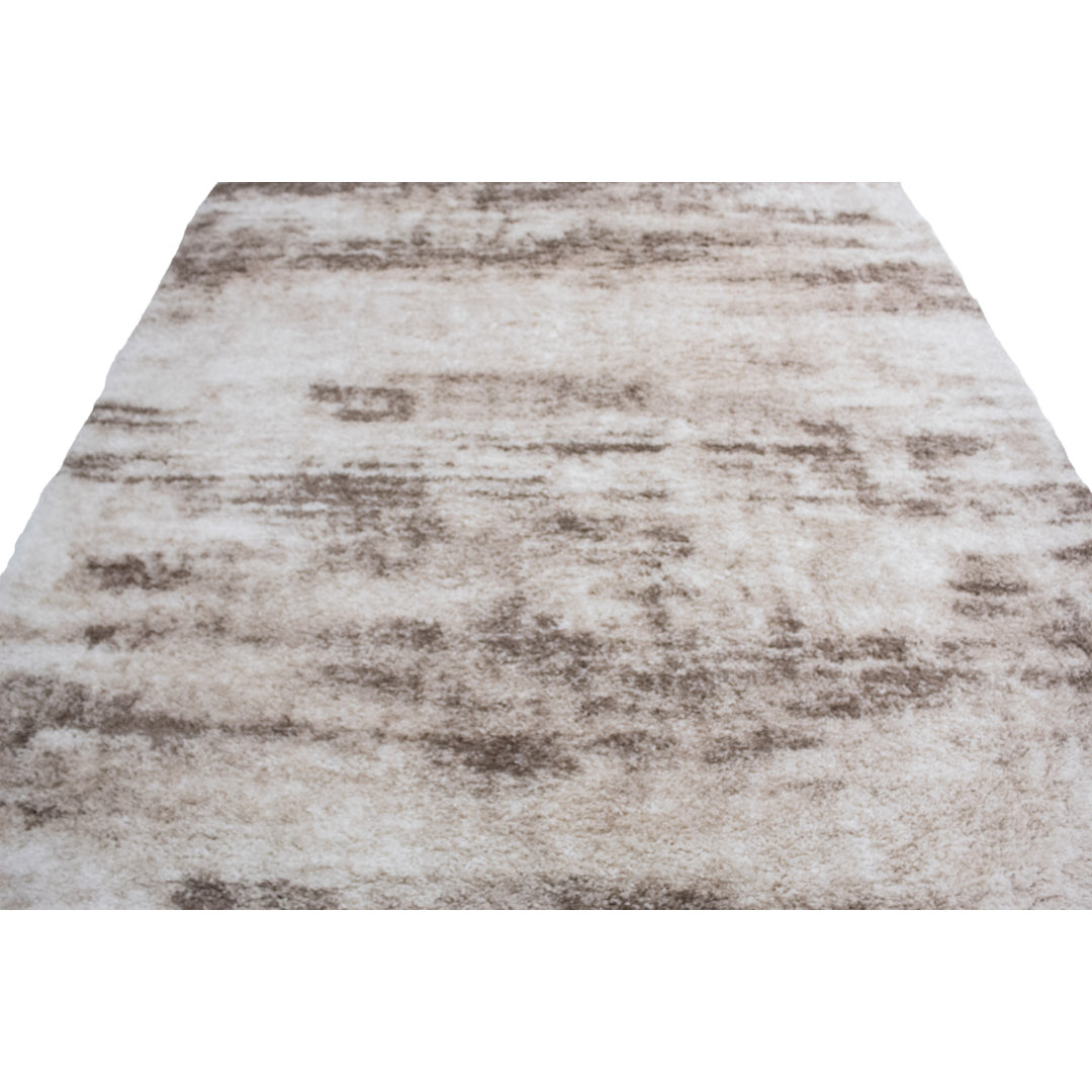Alban Indoor Shag Beige Area Rug 17 Stories Rug