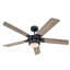 Prochoros Ceiling Fan with LED Lights