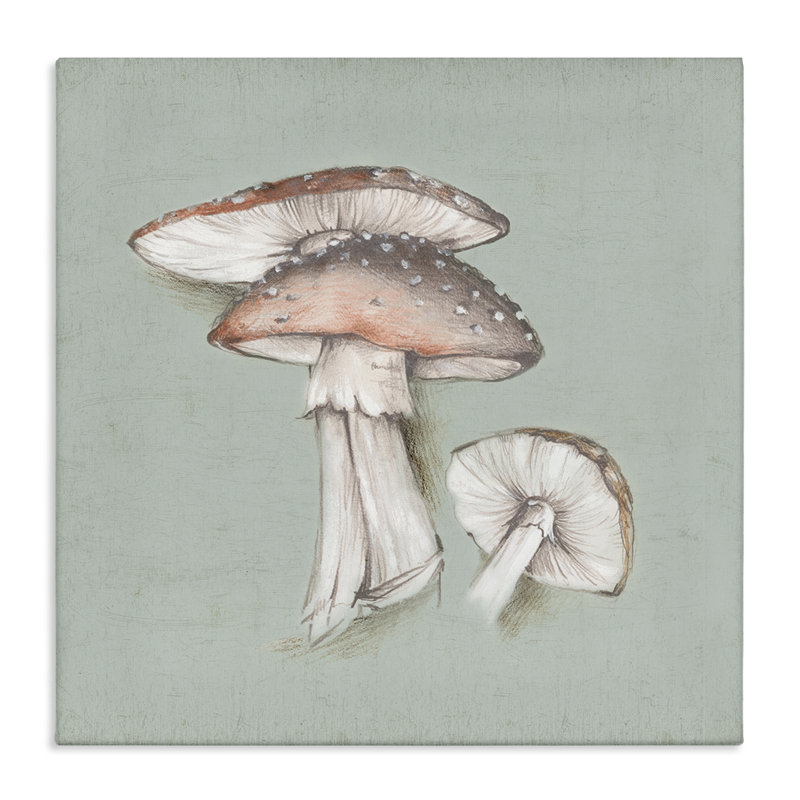 "Mushroom Bunch", art mural sur toile par Eli Jones, H 24 po x l 24 po