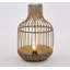 Bamboo Lantern