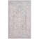 Calidia Oriental Light Gray Area Rug