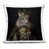 Chat 3