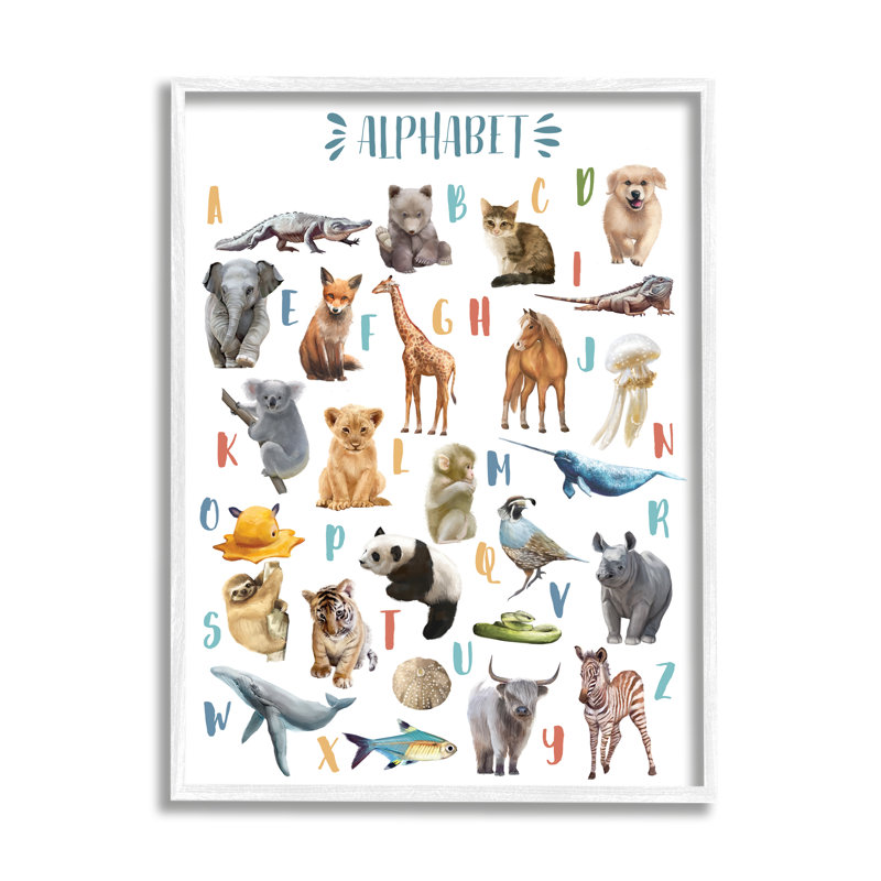 Kid's Playful Animal Alphabet - impression, H 30 po x l 24 po, Cadre blanc