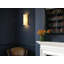 Wallwash 3 - Light Flush Mounted Sconce