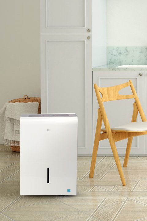 Shop Dehumidifiers