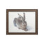 «Young Hare» par Albrecht Dürer