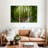 Alvord Mystic Tropical Forest-107970229