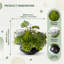 Arrangement