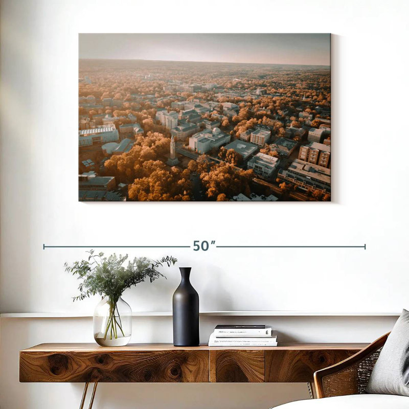 Harpa UNC Campus Aerial View, 26" H x 39" W