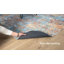 Paillasson MAVAL-1784896466