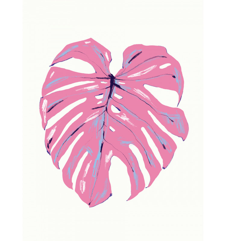 Monstera Leaf, White/Pink, 121.92 cm H x 81.28 cm W