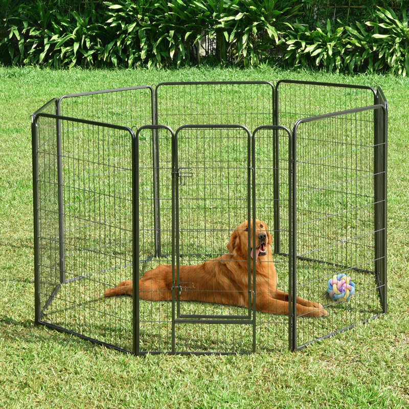 17DPP006007_wfv Très grand parc pour enclos d'exercice pour chien, H 31,5 po x l 47,25 po x P 47,25 po