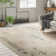 Bradbury Southwestern Wool Hand Woven Area Rug