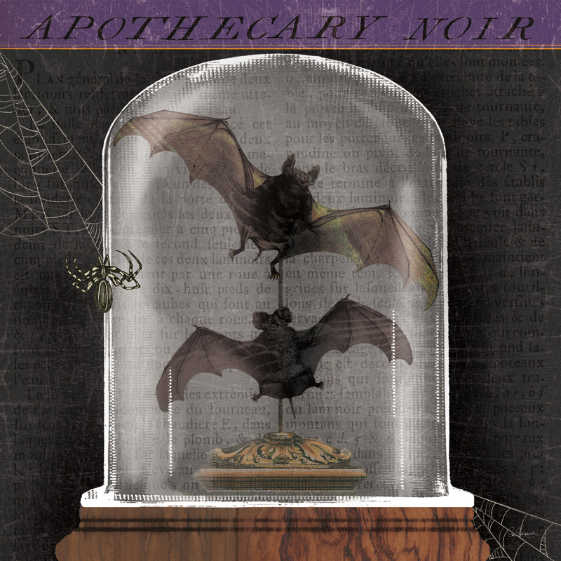Apothecary Noir IV - Wrapped Canvas Print, 91cm H x 91cm W