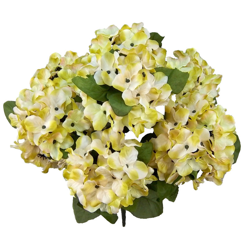 Hydrangea Arrangement, Mustard