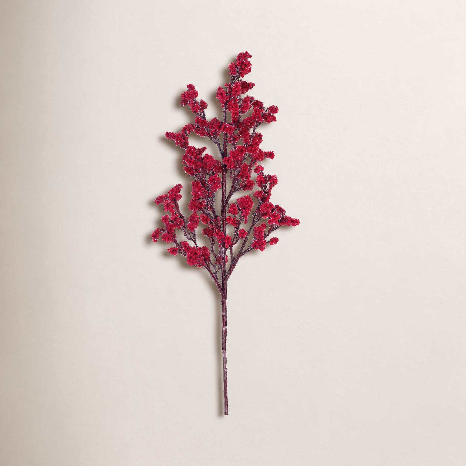 Petite Cluster Berry Stems