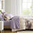 Taupe King Bedding - , Machine Washable Sheets Comforter, Sheets, Pillowcases Soft Touch