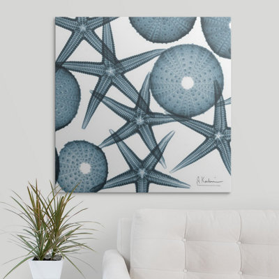 Starfish X-Ray Coastal