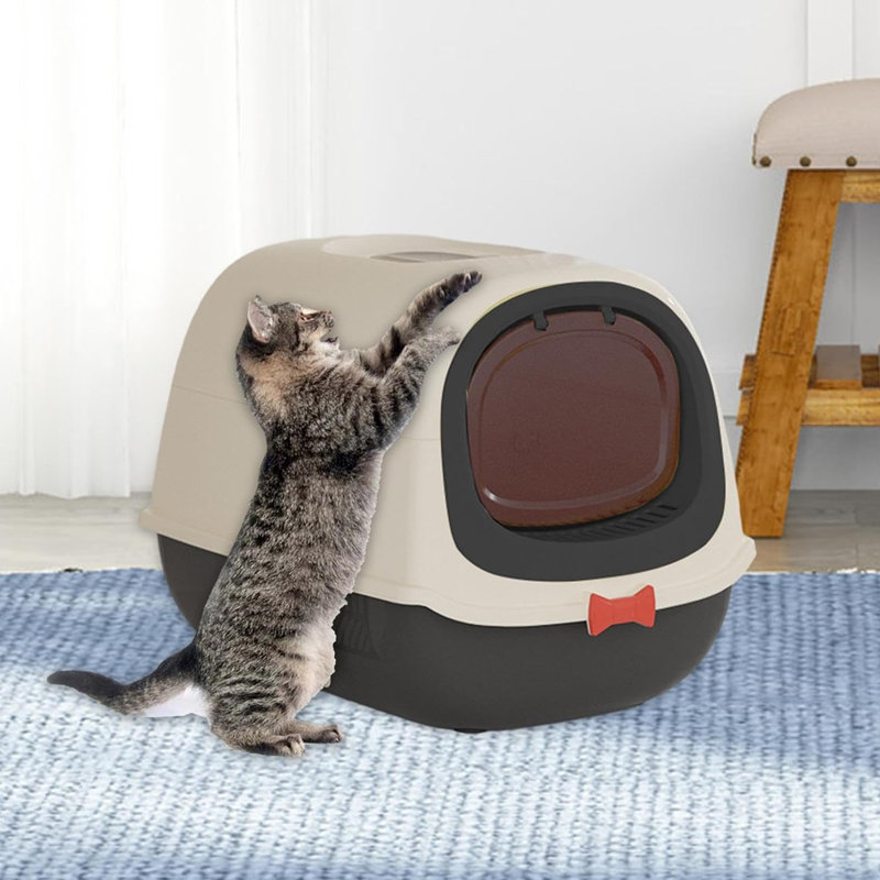 Enclosed Cat Litter Box with UV Light