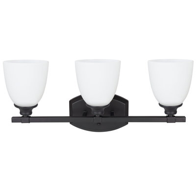 3 - Light Vanity Light