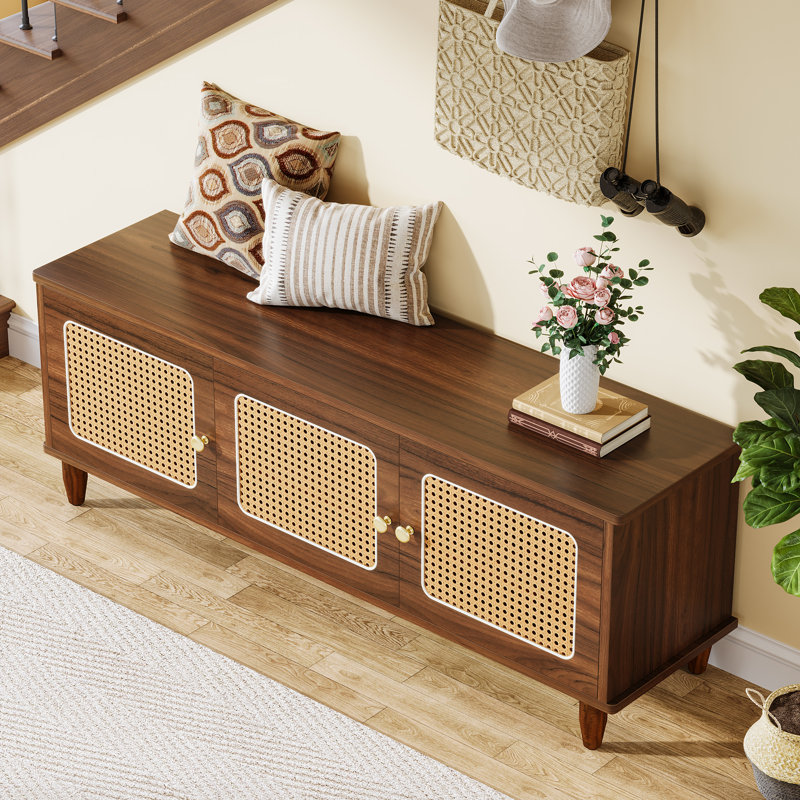 Danaisa 55.12" W Shoe Storage Bench with Rattan Doors