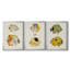 Jaune et gris poisson I, toile encadrée de qualité supérieure - prête à être accrochée-69982160-69982157