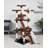 Cat Tree