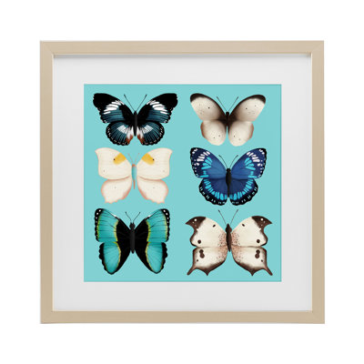 «Six Diverse Butterflies on Turquoise», reproduction encadrée sous verre, design par Metka Hiti