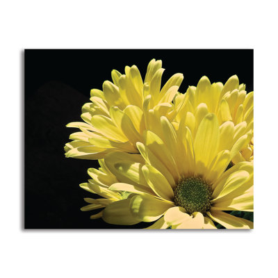 « yellow cascade ii », reproduction de photo