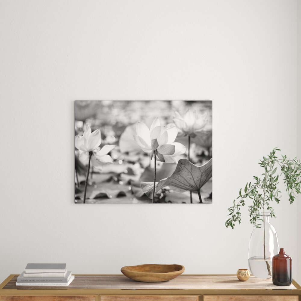 Leinwandbild „Asiatische Lotusblüte im Teich“, Fotodruck