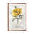 Classic Brown Wood Framed