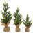 18'' Faux Pine Tree in Pot