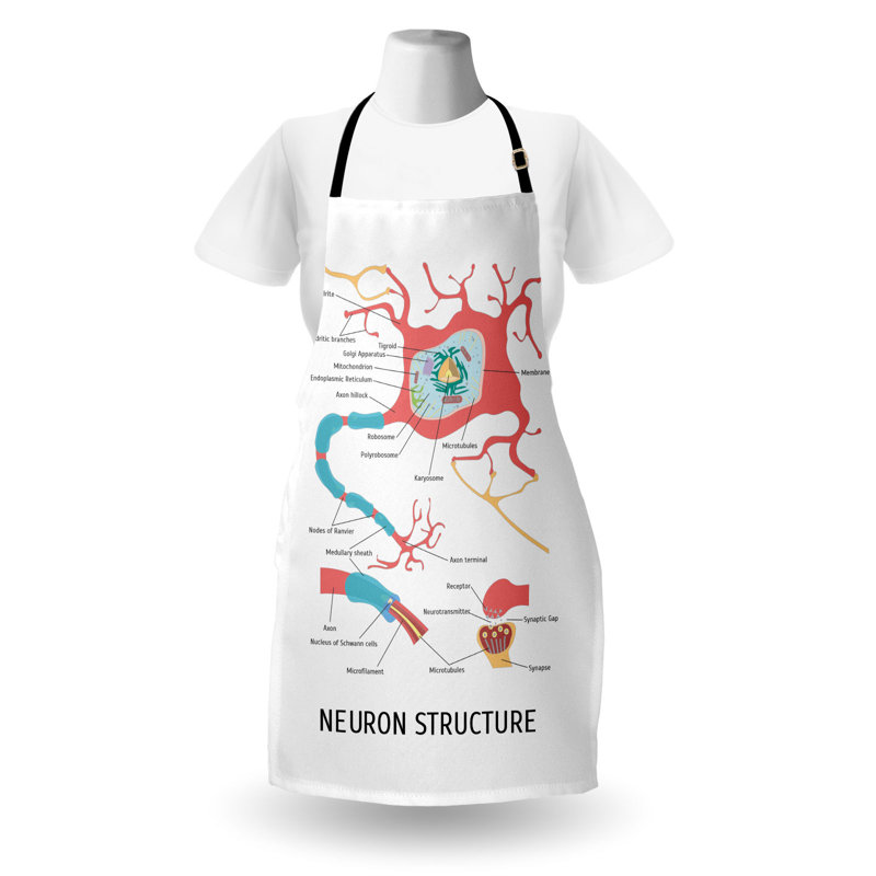 Tablier East Urban Home Anatomy