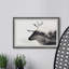Mountain Deer - Single Picture Frame Print-866304973