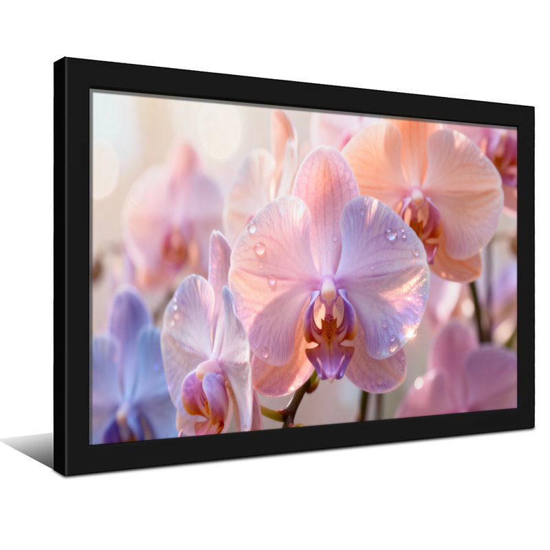Plantes et fleurs orchidées roses douces avec gouttes de rosée, Reproduction encadrée d'une seule photo sans pass, Noir