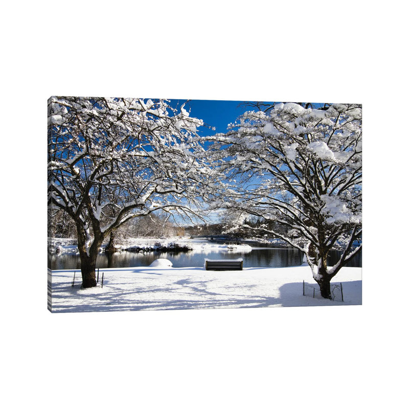 Snow Covered Trees, Winter Scenic, South Branch Of Raritan River, Clinton, New Jersey by George Oze - No Frame Gallery-Wrapped Canvas Giclée on Canvas