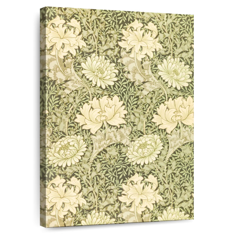Chrysanthème Kerner 1877, H 30 po x l 20 po