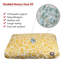 Coussin Fusion Orthopedic-35291719-35291723