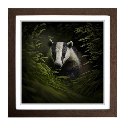 Badger Photograph No.2 - Framed Print