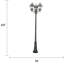 Carrizales Transparent Lamp Post (Full)